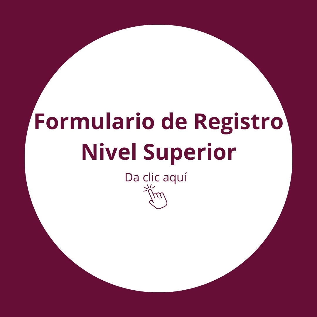 Registro NS