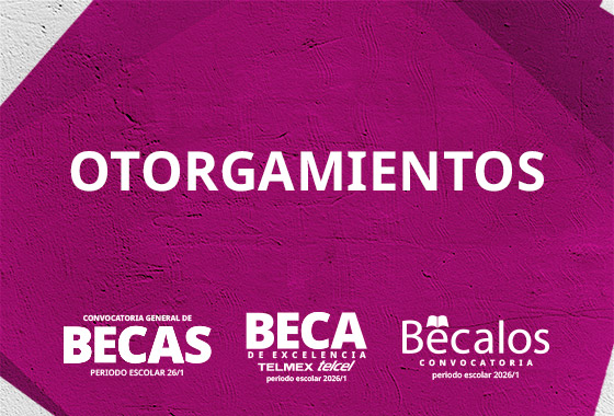 Resumen Asignados Beca