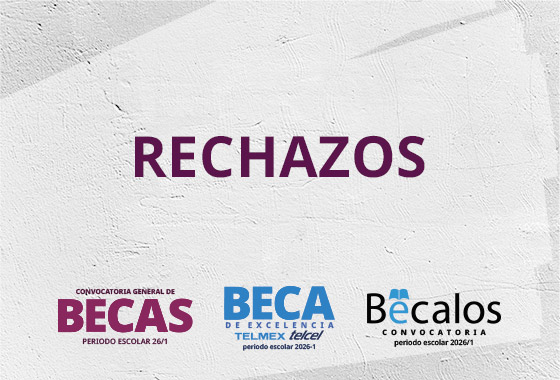 Resumen Rechazados Beca