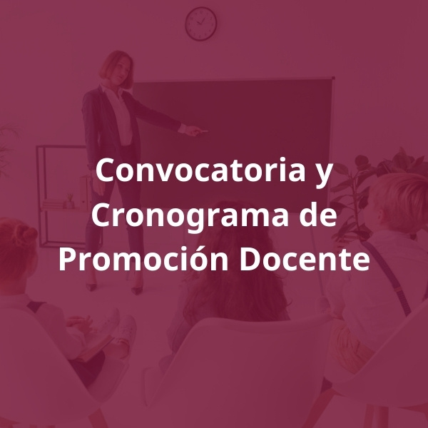 Promoción Docente